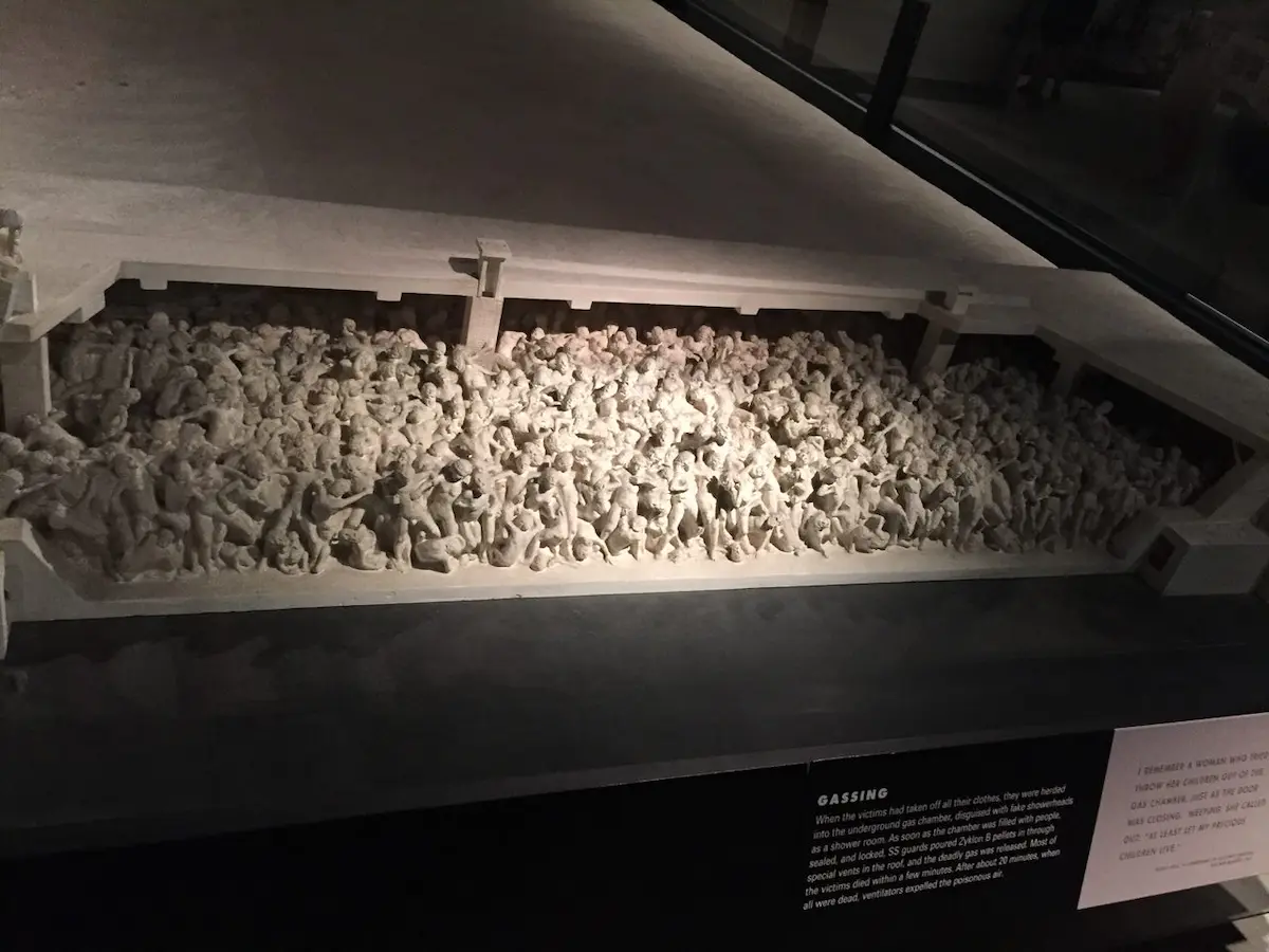 Gallery photo 8